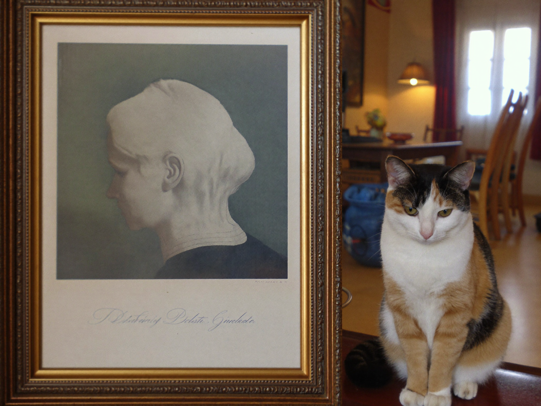 Katze sitzt neben ihrem kuenstlerisch gestalteten Portrait im gemuetlichen Wohnzimmer