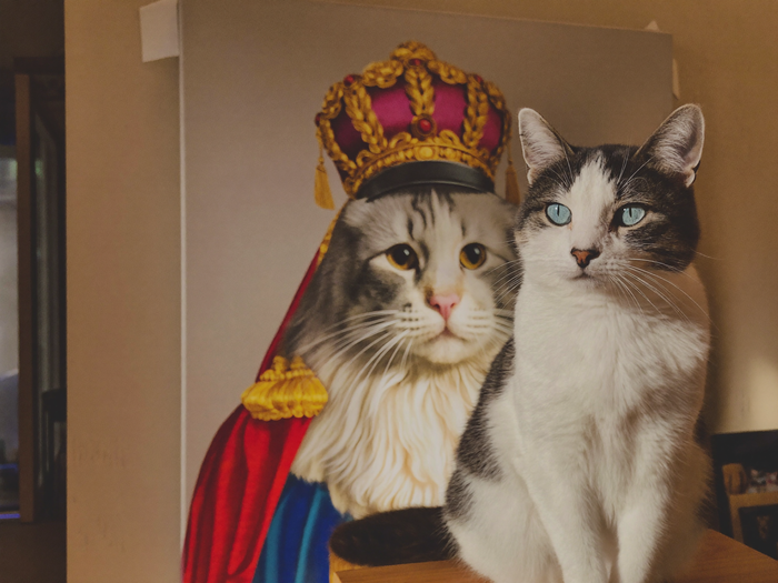 Katze sitzt neben ihrem royalen Portrait als Geschenk fuer Katzenbesitzer