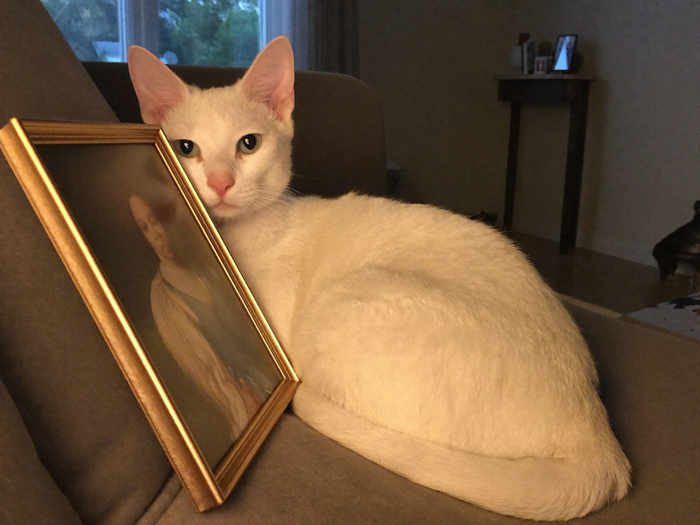 Weiße Katze kuschelt neben ihrem royalen Katzenportrait auf dem Sofa