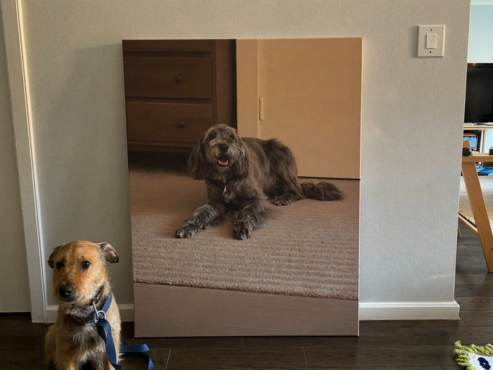 Hund sitzt neben einer grossformatigen Leinwand mit Hundeportrait im Wohnzimmer