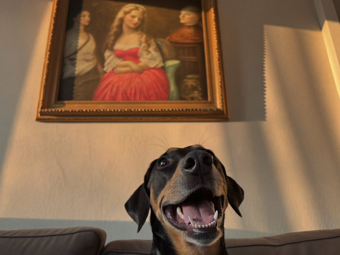 Hund sitzt auf dem Sofa unter seinem royalen Tierportrait auf Leinwand