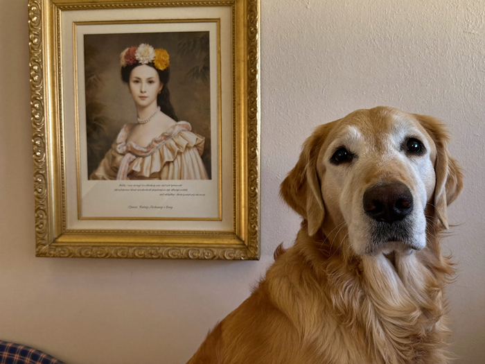Hund sitzt stolz neben seinem royalen Portrait an der Wand als Muttertagsgeschenk