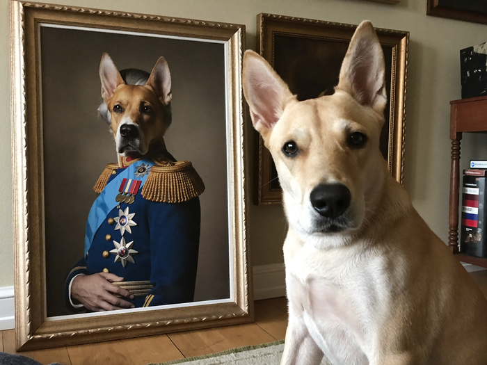 Hund sitzt neben seinem royalen Uniform-Portrait im Napoleon-Stil