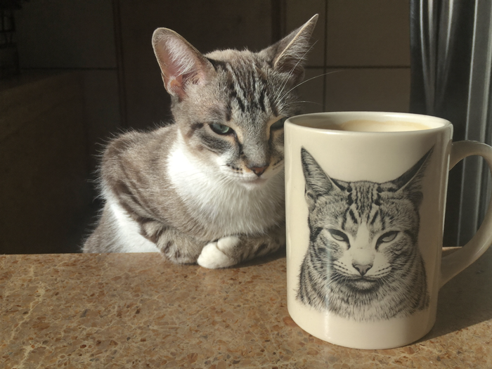 Katze sitzt neben ihrer personalisierten royalen Portrait-Tasse in der Kueche