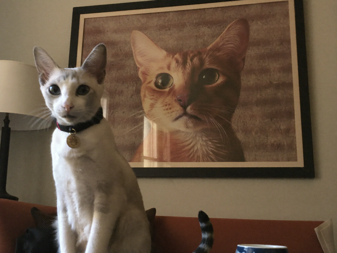 Katze sitzt vor ihrem royalen Portrait als Wandbild im Wohnzimmer