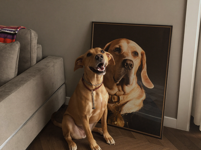 Hund sitzt stolz neben seinem grossen royalen Portrait an der Wohnzimmerwand